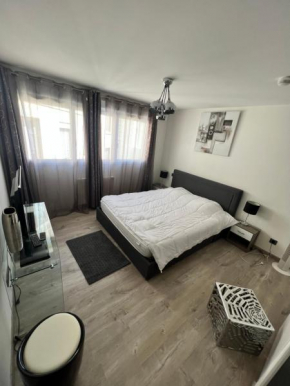 Superbe appartement plein centre de Lyon